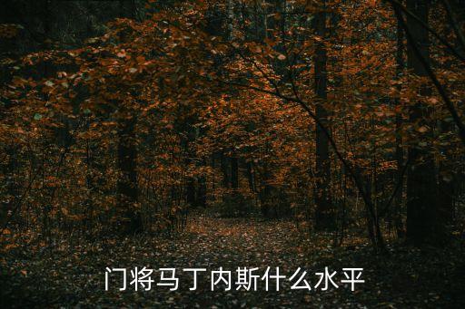  門(mén)將馬丁內(nèi)斯什么水平