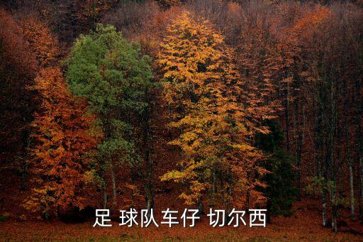切爾西哪個球隊(duì),切爾西成為英超首支獲歐冠獎杯的球隊(duì)