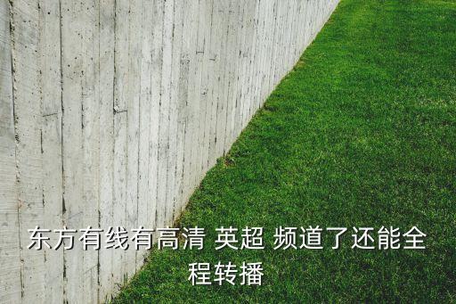 英超在新視覺哪個頻道,東方有線高清體育頻道只需20元/月