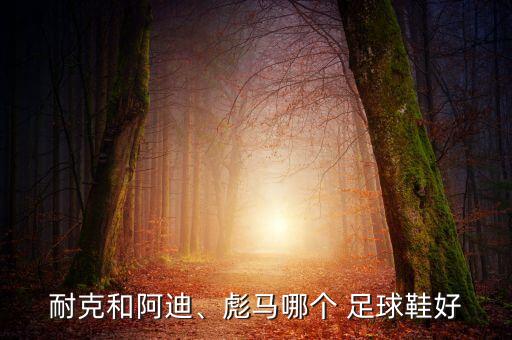 足球鞋哪個系列好,耐克阿迪達(dá)斯新一代x靴最好從3月份測試