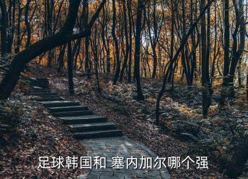 足球韓國(guó)和 塞內(nèi)加爾哪個(gè)強(qiáng)