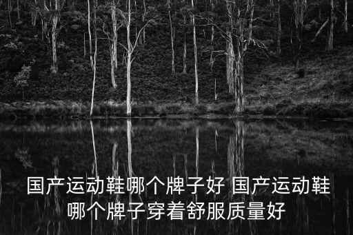  國產(chǎn)運(yùn)動(dòng)鞋哪個(gè)牌子好 國產(chǎn)運(yùn)動(dòng)鞋哪個(gè)牌子穿著舒服質(zhì)量好