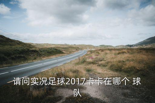 請(qǐng)問(wèn)實(shí)況足球2017卡卡在哪個(gè) 球隊(duì)