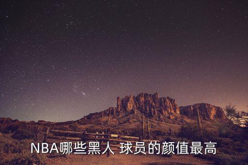 nba哪個(gè)球員最帥,哈密爾頓和庫(kù)茲馬的對(duì)比