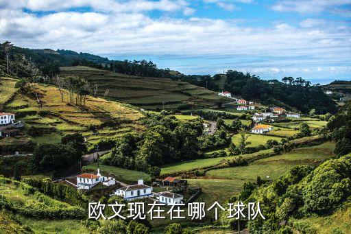  歐文現(xiàn)在在哪個球隊(duì)