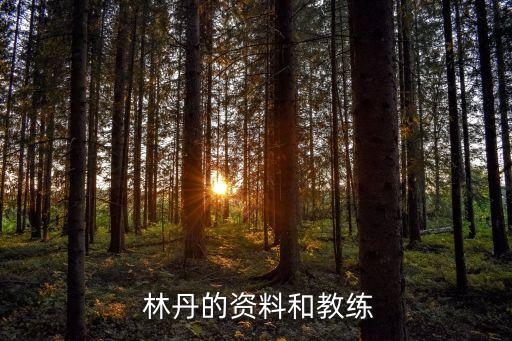 林丹全運(yùn)會(huì)是哪個(gè)隊(duì),超級(jí)丹林丹被稱為羽毛球大滿貫