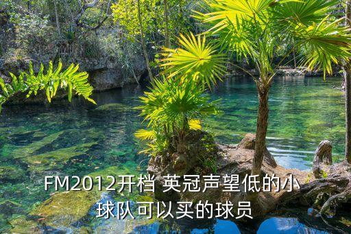 FM2012開檔 英冠聲望低的小 球隊(duì)可以買的球員