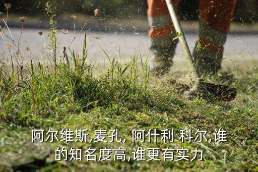 阿爾維斯,麥孔, 阿什利 科爾,誰的知名度高,誰更有實力