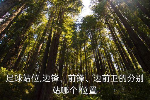 足球站位,邊鋒、前鋒、邊前衛(wèi)的分別站哪個(gè) 位置