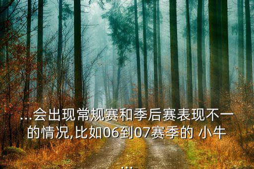 06-07小牛被哪個隊黑八,小牛球隊復(fù)仇火箭奪總決賽首冠