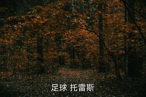 足球 托雷斯