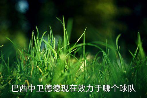 萊昂納多是哪個隊(duì),德德轉(zhuǎn)會日本足壇掀起轉(zhuǎn)會熱潮