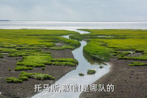 托馬斯是哪個隊,小托馬斯無球可打防守強(qiáng)擋拆防守好