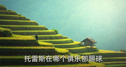  托雷斯在哪個俱樂部踢球