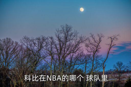  科比在NBA的哪個 球隊(duì)里