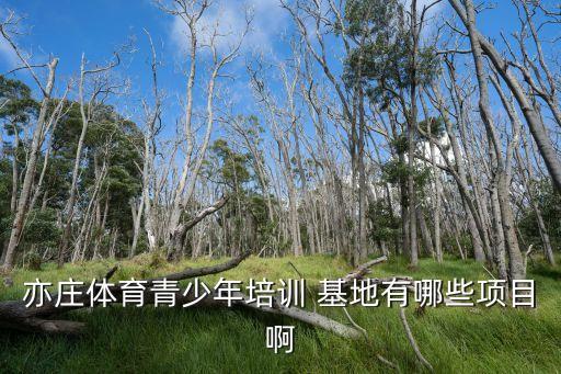 亦莊體育青少年培訓(xùn) 基地有哪些項(xiàng)目啊