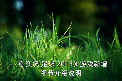 《 實況 足球 2013》游戲新增細節(jié)介紹說明