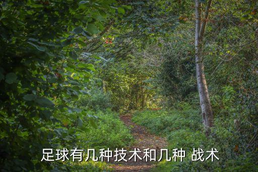  足球有幾種技術和幾種 戰(zhàn)術