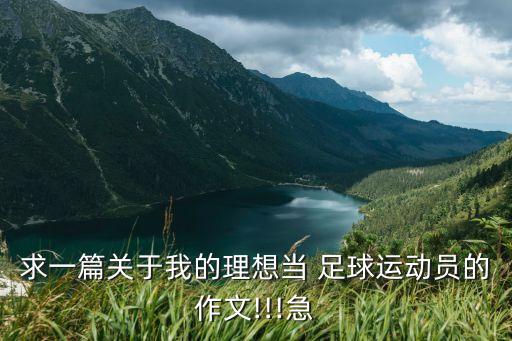 求一篇關(guān)于我的理想當(dāng) 足球運(yùn)動(dòng)員的作文!!!急