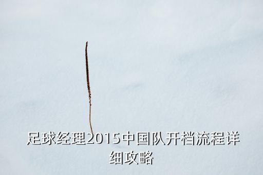 中國青年足球隊(duì)員桂宏