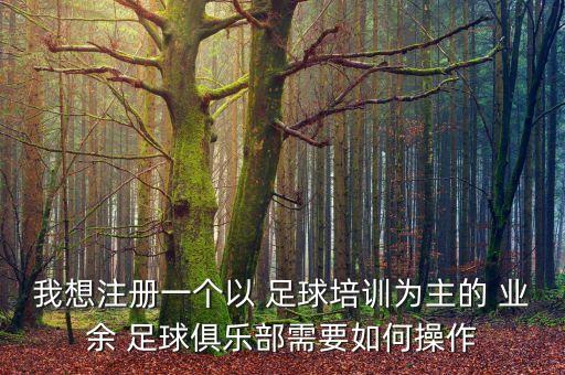 我想注冊一個以 足球培訓(xùn)為主的 業(yè)余 足球俱樂部需要如何操作