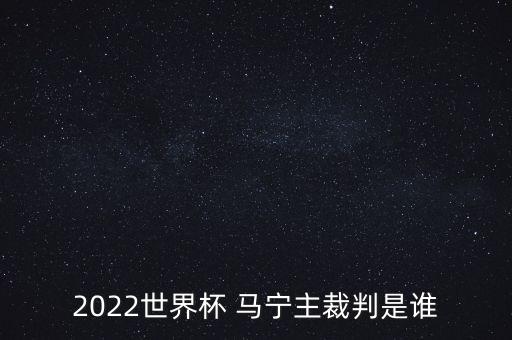 2022世界杯 馬寧主裁判是誰