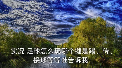  實況 足球怎么玩哪個鍵是踢、傳、接球等等誰告訴我