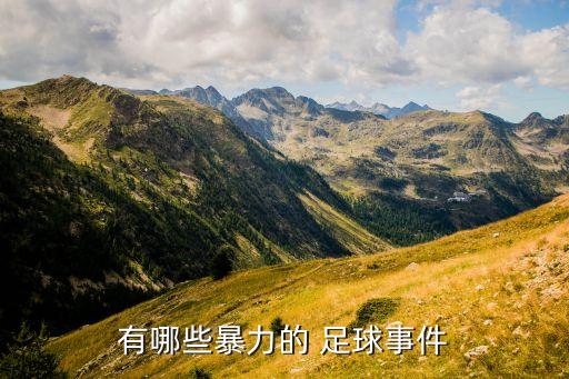 有哪些暴力的 足球事件
