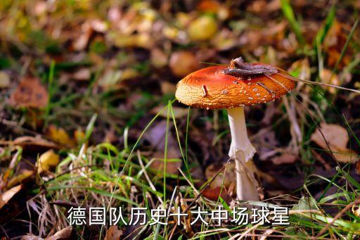 德國隊歷史十大中場球星