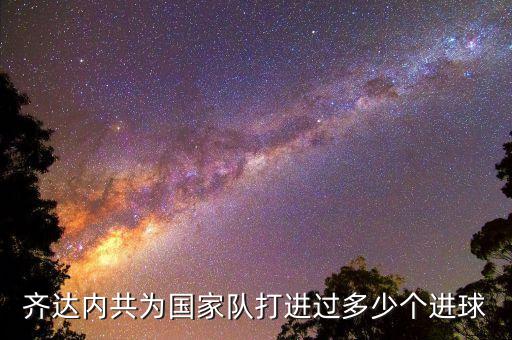 齊達內(nèi)共為國家隊打進過多少個進球
