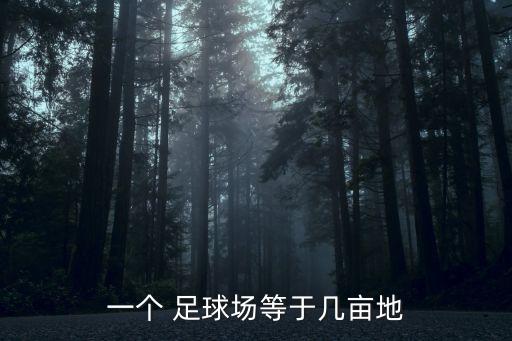 一個(gè) 足球場(chǎng)等于幾畝地