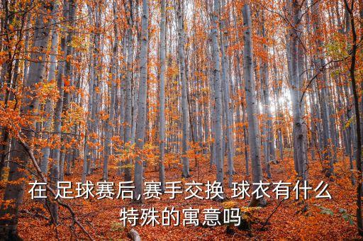足球球衣反穿,足球11號(hào)球衣是誰(shuí)穿的