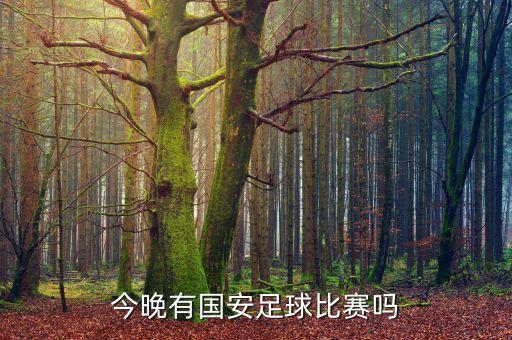 今晚有國(guó)安足球比賽嗎