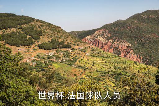 世界杯 法國球隊(duì)人員