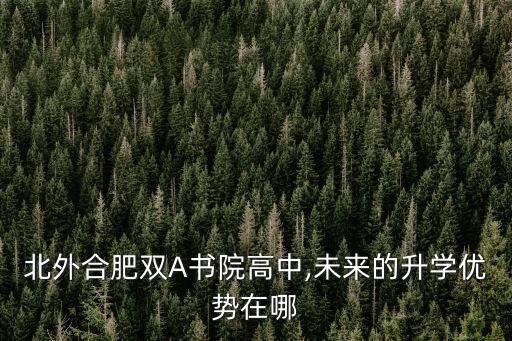 北外合肥雙A書院高中,未來的升學(xué)優(yōu)勢在哪