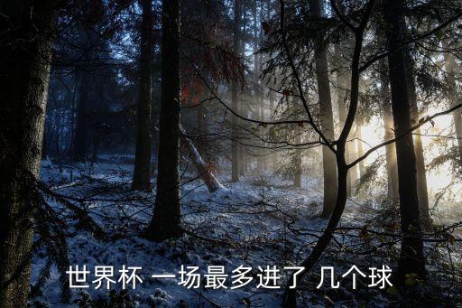 世界杯 一場最多進了 幾個球