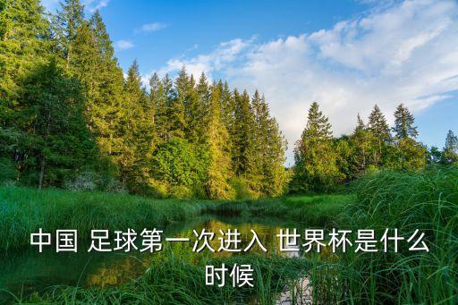 中國 足球第一次進(jìn)入 世界杯是什么時候