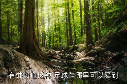 有誰(shuí)知道這種 足球鞋哪里可以買(mǎi)到