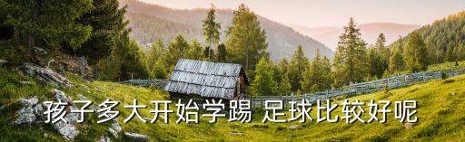 孩子多大開(kāi)始學(xué)踢 足球比較好呢