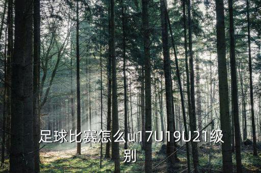  足球比賽怎么u17U19U21級別