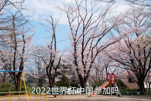 中國杯足球賽決賽,2020中國杯足球賽