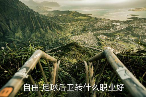  自由 足球后衛(wèi)轉什么職業(yè)好