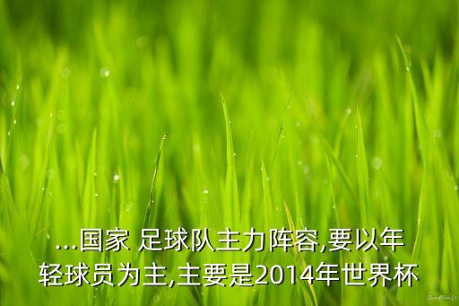 ...國(guó)家 足球隊(duì)主力陣容,要以年輕球員為主,主要是2014年世界杯