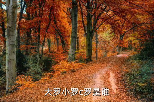 慈天足球運動員,出名的足球運動員哪些?