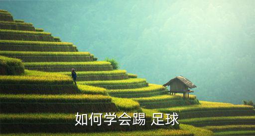 如何學會踢 足球
