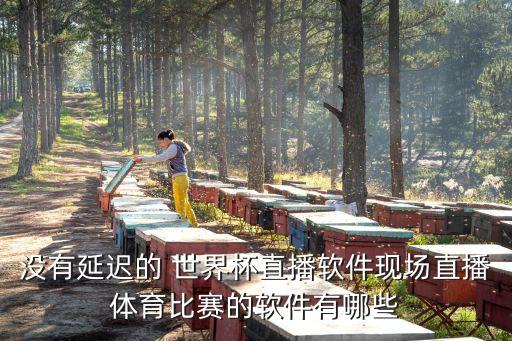 沒有延遲的 世界杯直播軟件現(xiàn)場(chǎng)直播體育比賽的軟件有哪些