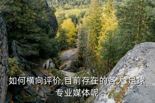 如何橫向評(píng)價(jià),目前存在的各大 足球?qū)I(yè)媒體呢