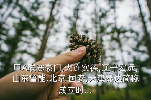 甲A聯(lián)賽豪門(mén),大連實(shí)德,遼寧宏遠(yuǎn),山東魯能,北京 國(guó)安,天津泰達(dá)簡(jiǎn)稱(chēng)成立時(shí)...