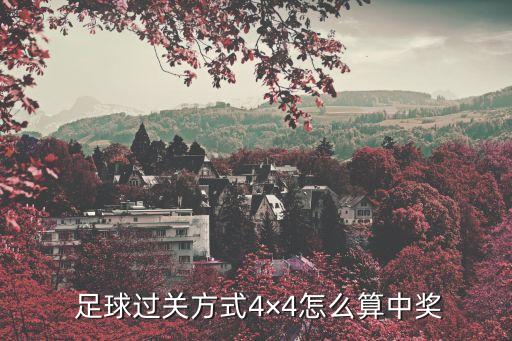  足球過(guò)關(guān)方式4×4怎么算中獎(jiǎng)