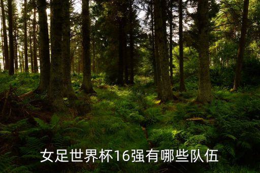 女足世界杯16強(qiáng)有哪些隊伍
